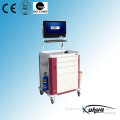 Mobile Terminal Nursing Trolley (P-13)